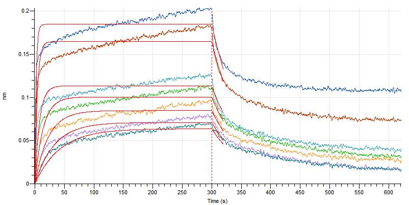 Human IL-7 +BLI-2.jpg